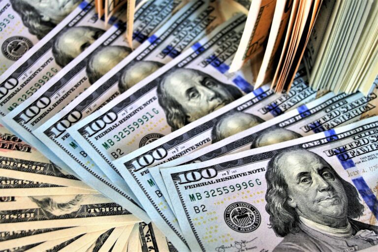Net Worth