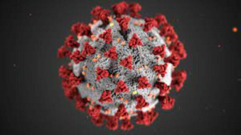 CDC said the Delta Covid variant spread as easily as chickenpox!