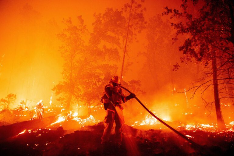 This week heatwave baked the Western US!