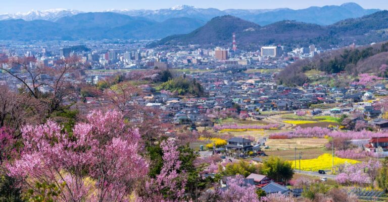 Without humans biodiversity is blooming in Fukushima power plant!