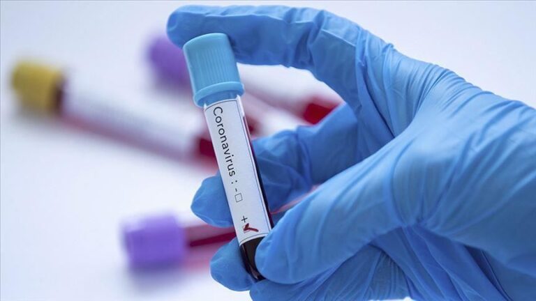 Covid-19: Bulgaria sets daily record; around 10,000 citizens tested positive in a day