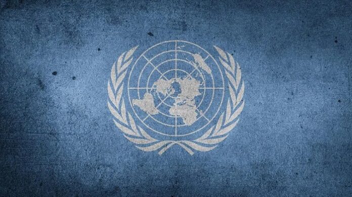 UN calls world to assist Ukraine