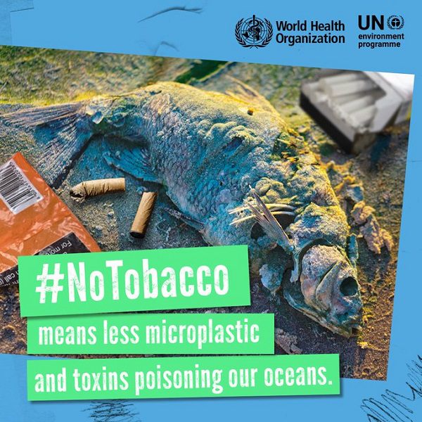WHO: Tobacco is killing us and our earth