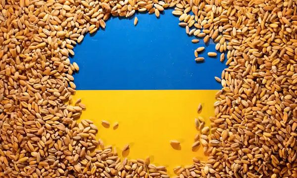 No danger of grain crisis in Bulgaria