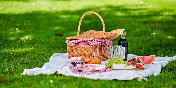 International Picnic Day 2022 quotes