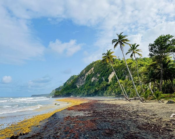 Dominica emerging as most popular destination in eco-tourism
