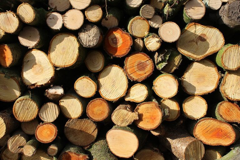 Minister of Agriculture Yavor Gechev imposed a three-month ban on the export of wood from Bulgaria. The export ban has been in effect since last week. The main objective of the prohibition is to reduce the prices of solid fuel in the country to avoid a deflection
