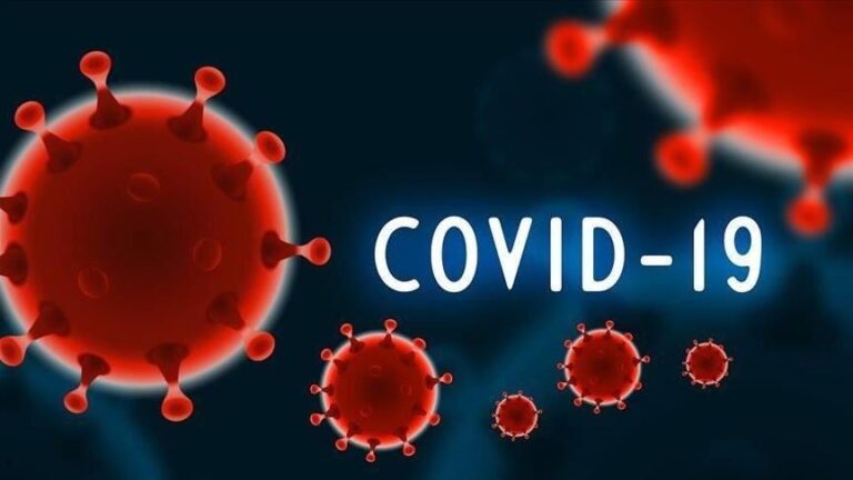 Bulgaria logs 818 COVID-19 cases