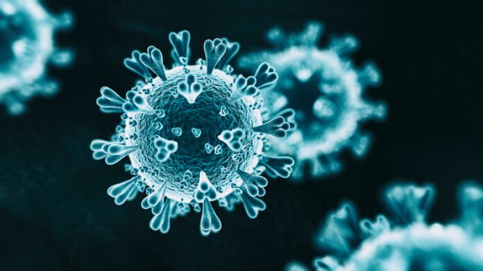 Within the past 24 hours, 188 new coronavirus cases have been reported in Bulgaria. According to the sources, one affected person has lost their life after a lengthy battle with COVID-19