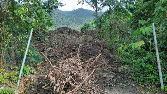 Saint Lucia: Between 2016 and 2021, St. Lucians throughout the country acknowledged that Soufriere underwent a tremendous transformation. Everyone marvelled at the development that took place throughout the Constituency, especially in the town