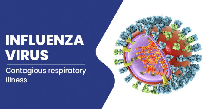 From January 17, classes will be suspended in all schools of Stara Zogara be shut down due to the rising influenza case count in the region. Masks are now required on public transportation, pharmacies, opticians, and healthcare facilities