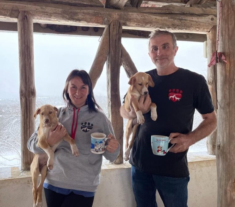 Streets Heart BG, an NGO in Bulgaria that rescues abandoned dogs and puppies, reported that their shelter is over capacity. There are 35 dogs on the streets waiting to come in, and the snow and bitter cold make their working conditions difficult