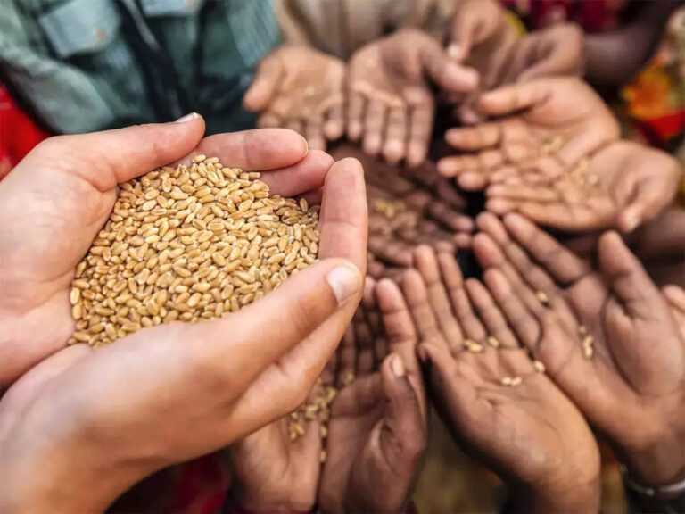 Baltistan, Pakistan: According to reports, the People of Pakistan-occupied Kashmir (PoK) Gilgit-Baltistan demonstrated a lack of wheat and electricity in two regions of Pakistan
