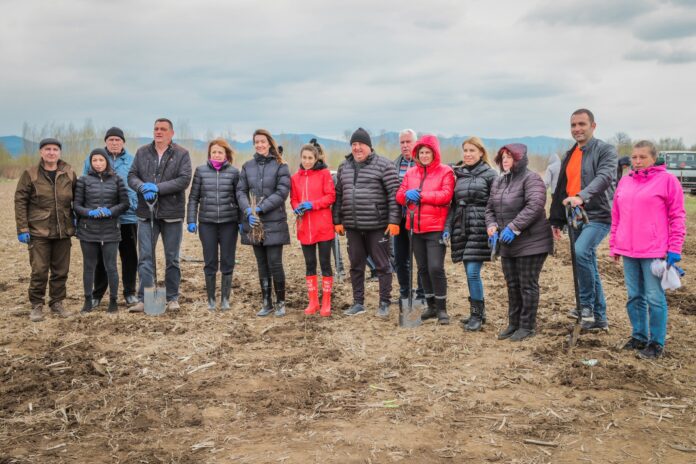 Sofia, Bulgaria: Yordanka Fandakova, mayor of Sofia, informed that in the next five weeks, the Municipality of Sofia will plant 20,000 oak saplings as part of the Sofia New Forest initiative