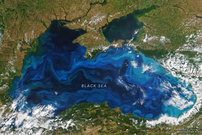 The Black Sea is a unique marine ecosystem rich in biodiversity. It provides a wide range of valuable resources and services to the countries that share its coastline, such as Ukraine, Turkey, Georgia, Romania, and Bulgaria