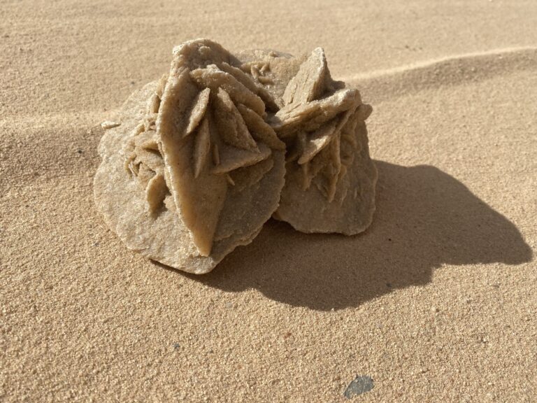 Ruslan Yardanov, a Bulgarian traveller and blogger, shares a glimpse of his visit to the 'Sahara Desert', where the Desert rose, also known as the desert flower or sand rose, can be found in the Sahara desert and other regions with hot and dry weathers