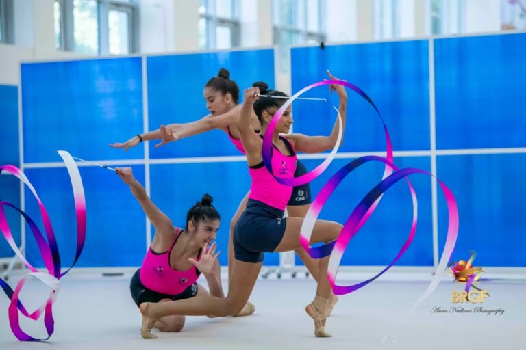 On Friday from 6 pm, an open control competition of the teams of Bulgaria and Brazil will be held in the Sofia Hall shortly before they leave for the 40th World Cup in Valencia