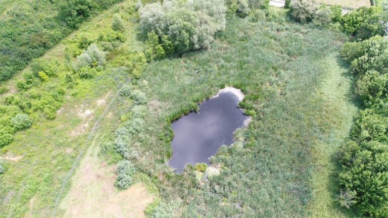 On August 23, 2023, the Bulgarian Ministry of Environment and Water declared the Boyan swamp a water site. With the establishment of the borders of the Boyan Swamp is the beginning of a process that will make its permanent preservation possible