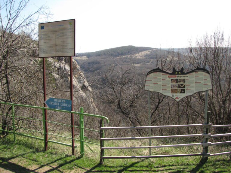 On August 29, Bulgaria celebrated European Bat Night. It is celebrated annually in over 30 countries around the world. The Agreement for the Protection of Bats in Europe (EUROBATS) has been in force for Bulgaria since 1999
