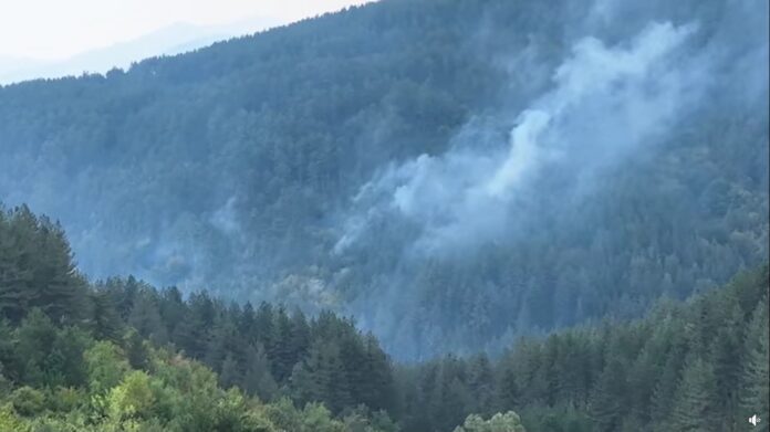 Chepelare, Bulgaria: The Chepelare Municipality informs that the fires are localized, and the atmosphere is calm. There is no danger for the population of Chepelare; the fire is far away. Due to the large fire outbreak on August 29, near the village of Hvojna, a partial state of emergency was implemented in the Chepelare municipality and is still in effect.