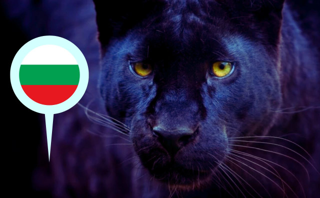 Police patrols circle Krainitsi after reports of a black panther sighting near the village sparked fear among local residents