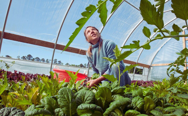 Albina Yasinskaya’s “Rozino” farm in Bulgaria’s Rose Valley demonstrates sustainable, closed-cycle organic farming, earning her the EU’s top female organic farmer award